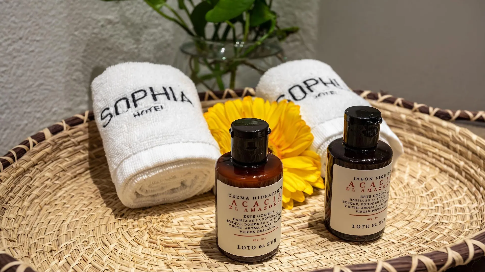 Sophia Hotel Cartagena